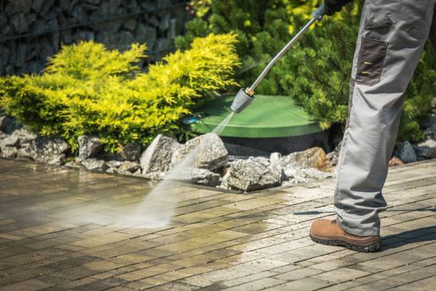 Best Winterizing Services  in Jacksonville Beach, FL