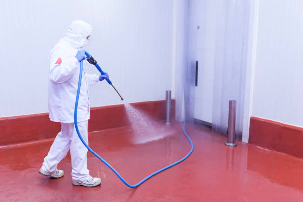 Best Driveway Pressure Washing  in Jacksonville Beach, FL