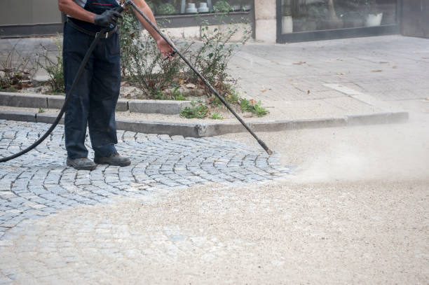 Best Animal Enclosure Cleaning  in Jacksonville Beach, FL